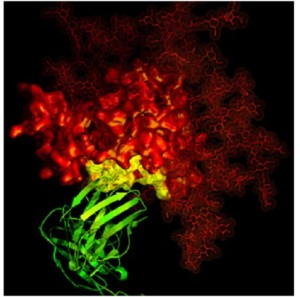HIV virus