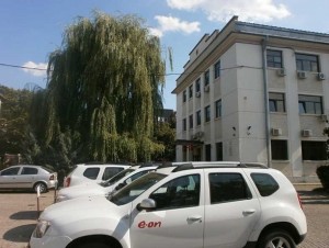 Monumentala salacie cin curtea E.ON Iasi a fost taiata (foto:ziaruldeiasi.ro)