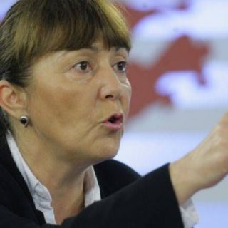 Monica Macovei nervoasa